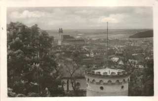 Nitra