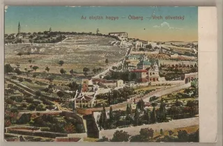 Olajfak