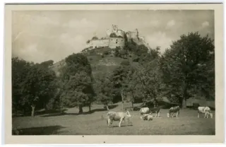 Plavecké Podhradie