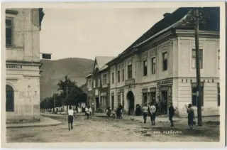 Plešivec