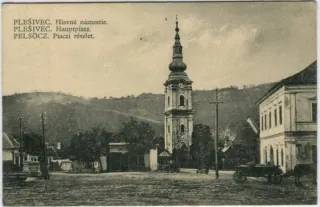 Plešivec