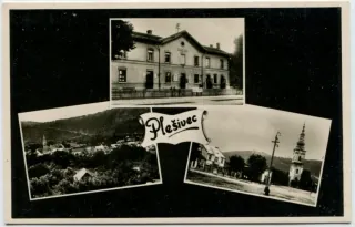 Plešivec