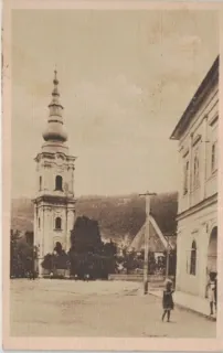 Plešivec