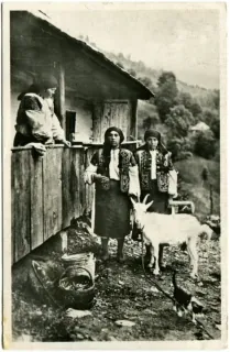 Podkarpatská Rus