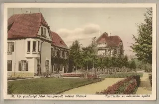 Putnok
