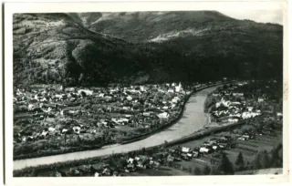 Rachov