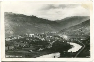 Rachov