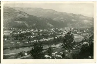 Rachov