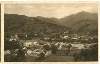 Rachov