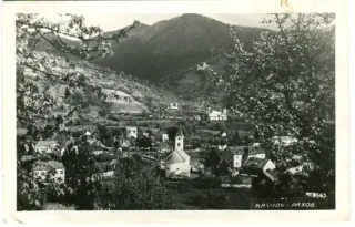 Rachov