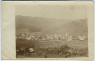 Rachov