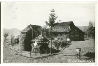 Rachov