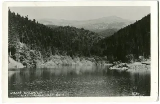 Rachov