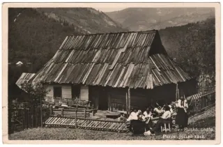 Rachov