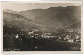 Rachov