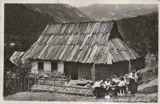 Rachov