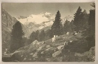 Reichenspitze