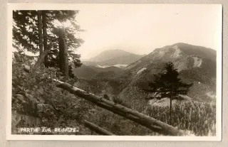 Reisalpe