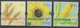 1113-1115 Flora