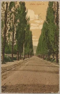 Siklos