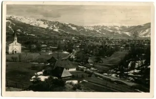 Sinovír