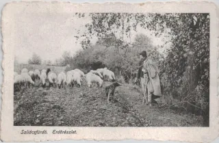 Sliač
