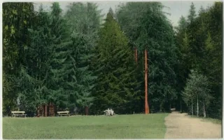 Spišská Nová Ves