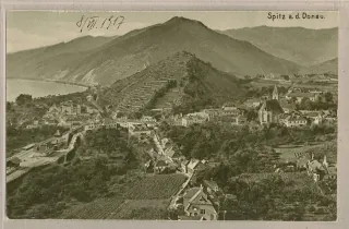 Spitz