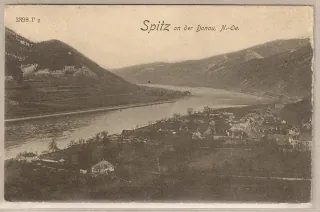 Spitz