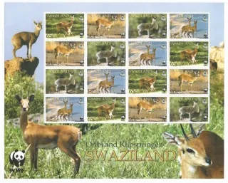 0702-705/TL Fauna