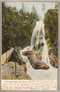 Tarvis