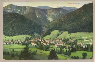 Tarvis