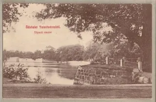 Tata-Tovarosrol