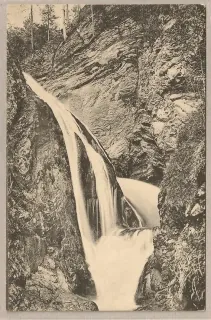 Trefflingfall