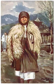 Volové
