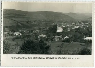 Volové