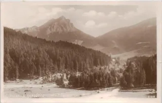 Vrátna