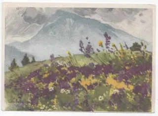 Vysoké Tatry