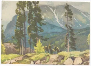 Vysoké Tatry