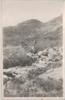 Vysoké Tatry