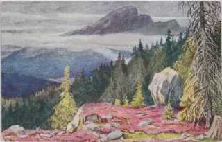 Vysoké Tatry