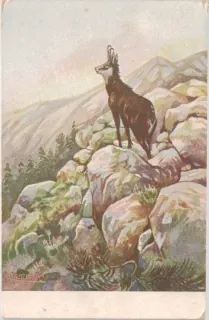 Vysoké Tatry
