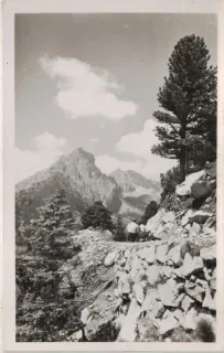 Vysoké Tatry