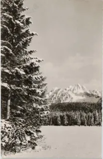 Vysoké Tatry