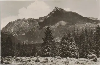 Vysoké Tatry