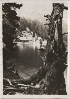 Vysoké Tatry - Štrbské pleso
