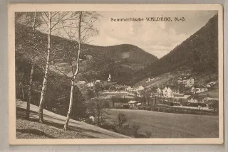 Waldegg