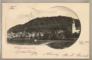 Wildon