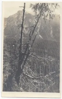 Vysoké Tatry - foto Plicka