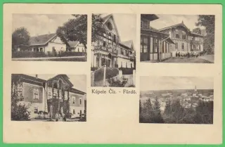 Číž